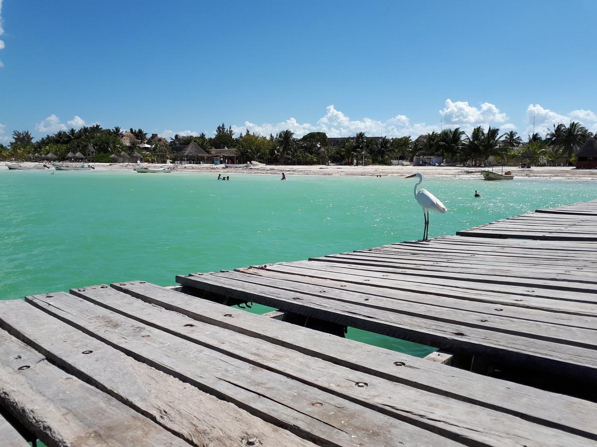 Casa Vainilla Holbox Island Aparthotel Exterior photo